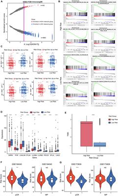 Development of a risk model to predict prognosis in breast cancer based on cGAS-STING-related genes